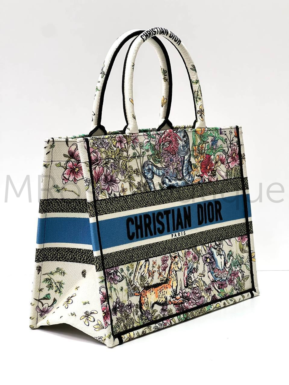 Christian dior bag shopper 2025