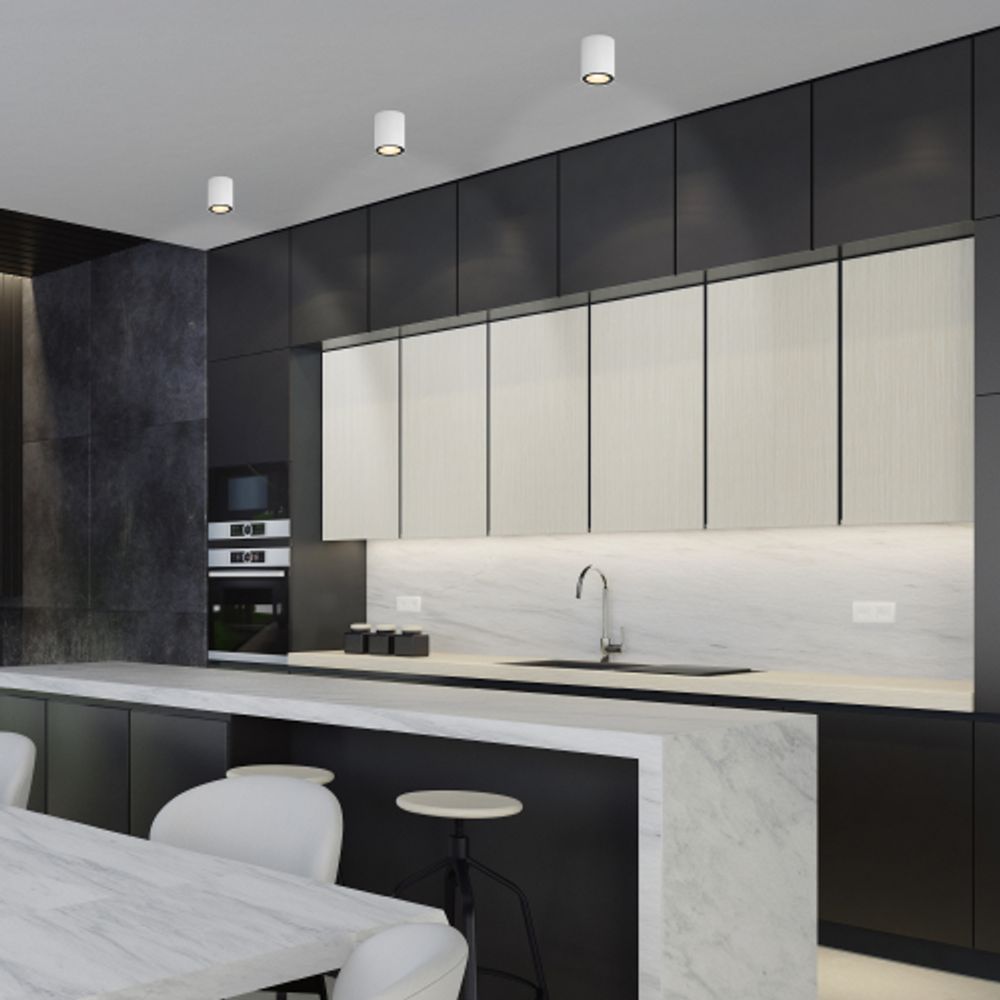 Светильник накладной ЭРА OL48 WH/BK под лампу MR16 GU10 IP44 черный/белый