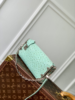 Louis Vuitton Slim Trunk