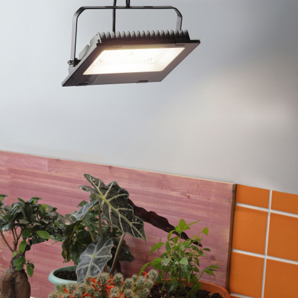 Фитопрожектор для растений светодиодный ЭРА FITO-100W-Ra90-LED для цветения и плодоношения полного спектра 100 Вт