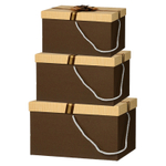 Подарочная коробка Basir 3 в 1, прямоугольные с крышкой, размер 29*21*16.5/26*19*14.5/23*17*12.5 см,с цветной крышкой ассорти