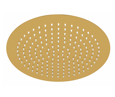 A262 Верхняя душевая насадка