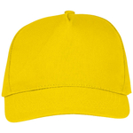 Пятипанельная кепка Hades