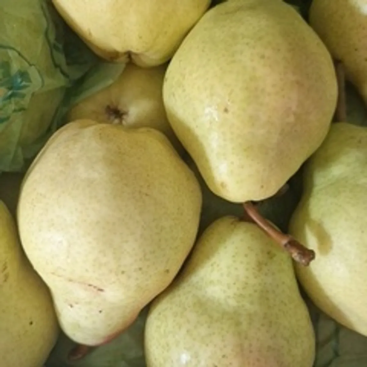 Груша свежая (Аргентина) / 500 гр