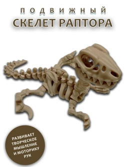 Скелет Динозавра