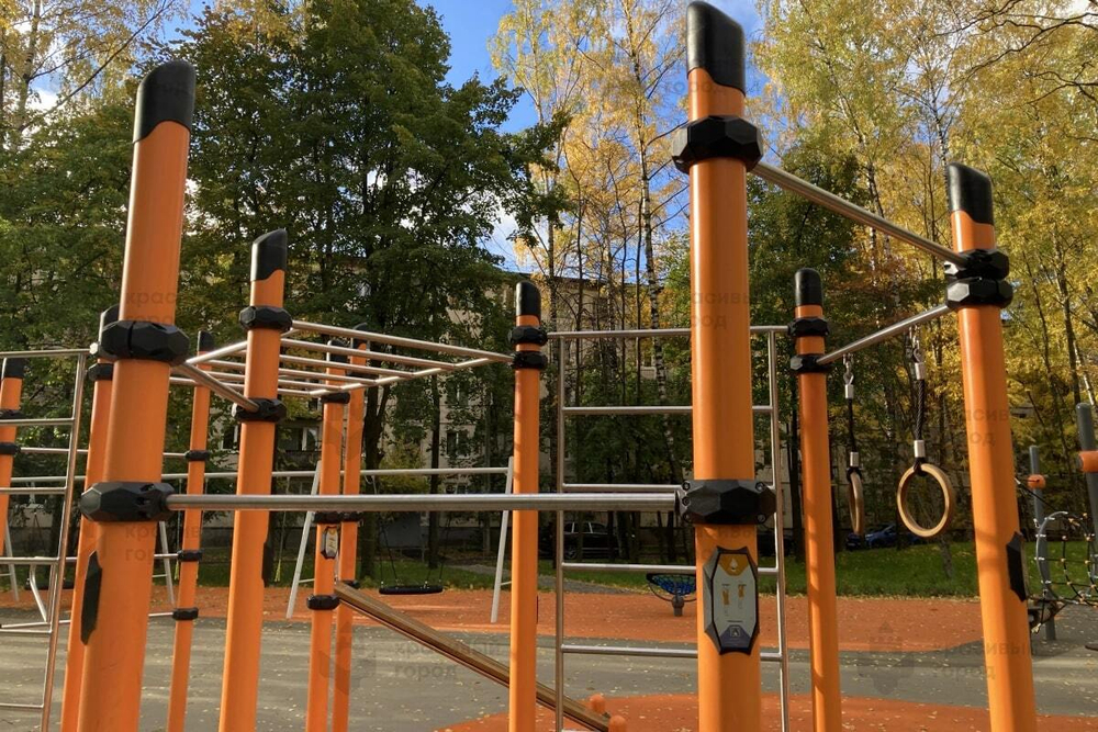 Комплекс воркаут 4 турника, 2 шведские стенки, 2 пары колец, рукоход и скамьи для пресса