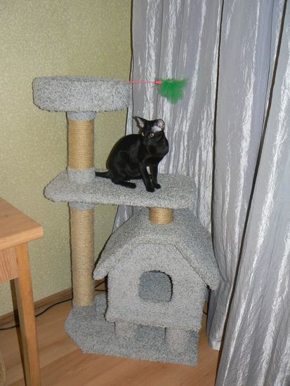 Домик для кота Д-7