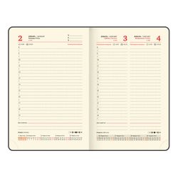 Ежедневник датированный А6 BRAUBERG "Iguana" (117253) 6