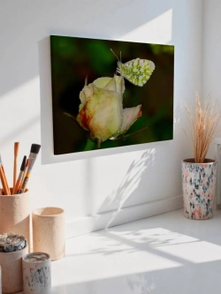 Картина на стену 40 X 50 Бабочка и цветок