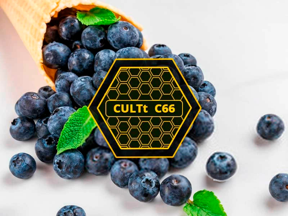 CULTT - C66 (200г)