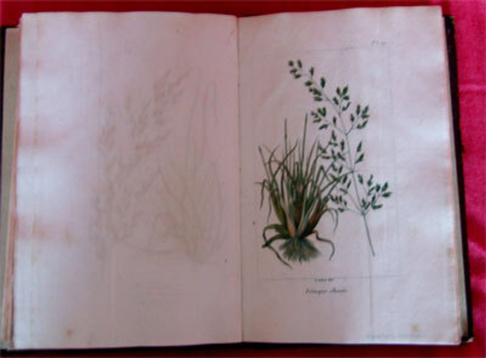 "Traite des prairies naturelles et artificielles (Обработка естественных и искусственных лугопастбищных угодий)". Par M.Boitard (Жозеф-Эдуард Буатард ). 1827г. - антикварное издание