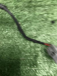 Проводка переднего бампера Omoda S5 (2022-н.в.)