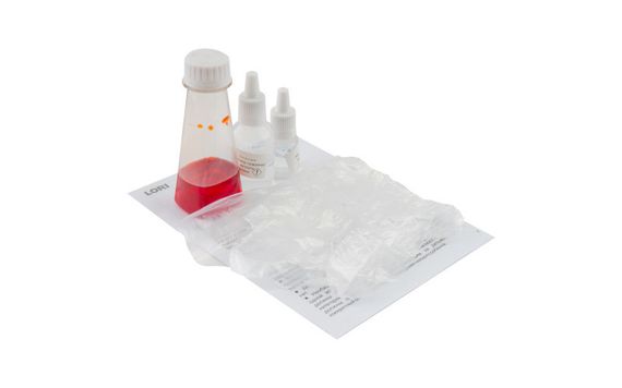 Kimyəvi Təcrübələr Lori Пенный Вулкан qırmızı