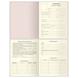 Дневник 1-11 кл. 48л. (ЛАЙТ) "Total gray", иск. кожа, тиснение, цветн. срез, ляссе, BG