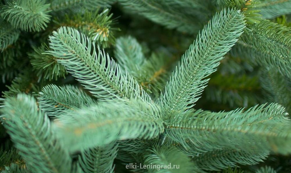 Большая елка «Европейская» (Литая+пвх) 6,5 м