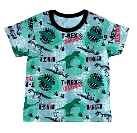Футболка для мальчика 411/89 (T - REX)