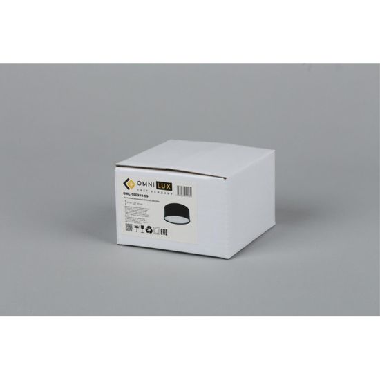 Светильник встраиваемый-накладной OML-100919-06