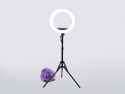 Лампа кольцевая светодиодная RL-18BII