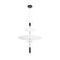Подвесной светильник Loft IT Skylar 10244/C Black