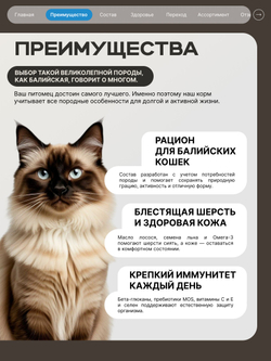 Корм сухой для взрослых кошек породы Балийская, с лососем, 400 гр, QUATTRO