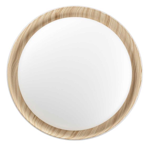 Потолочный светодиодный светильник Citilux Mega CL752452G