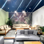 5.23. Искусственные растения в кашпо для мебельного салона.