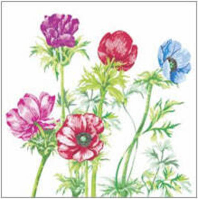 АНЕМОНЫ Салфетки 1 слойные 24Х24 40л*32