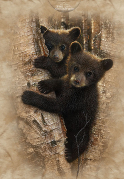 Curious Cubs