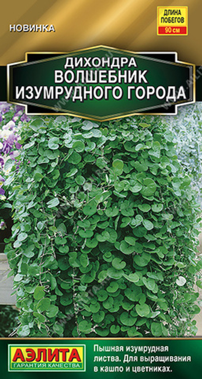 Дихондра Волшебник Изумрудного города 3 шт (Аэлита)