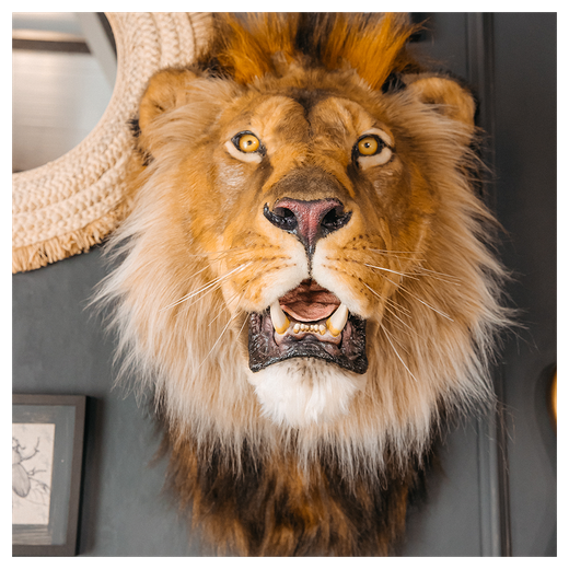 Реплика головы «Африканский лев»