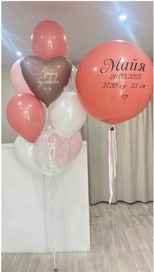Шары на выписку №303
