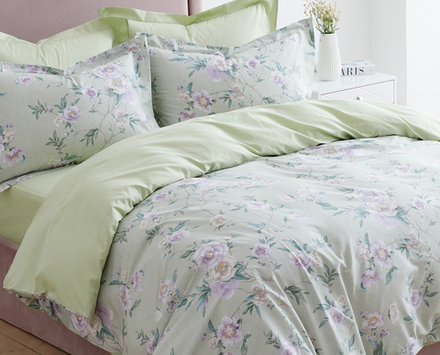 Постельное белье СайлиД BR-013 сатин