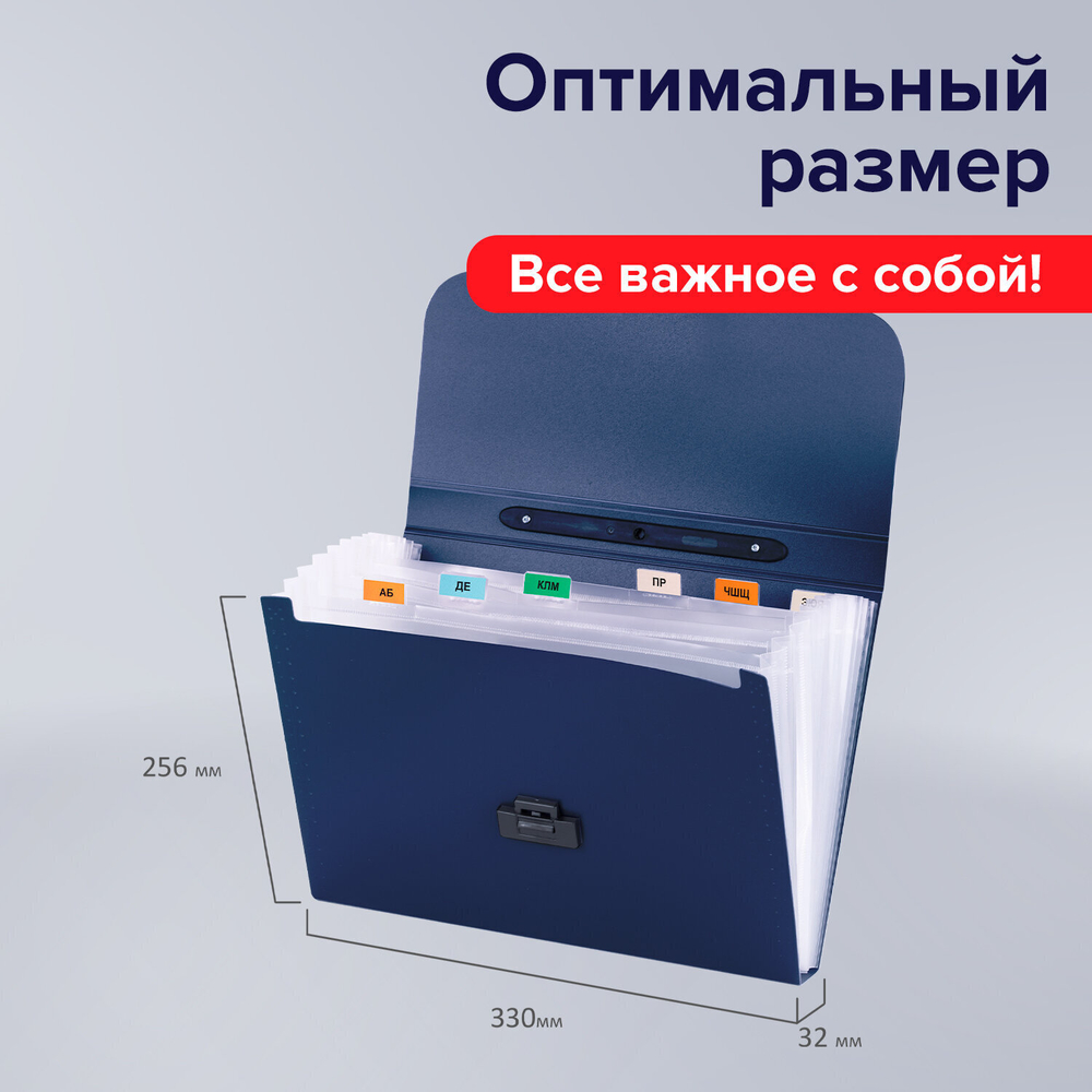 Папка-портфель пластиковая BRAUBERG "Energy" А4 (330х256х32 мм) 7 отделений синий (3 штуки в упаковке)