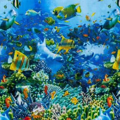 Штора для ванны «Морская» (180х180 см) (Цвет: не задано)