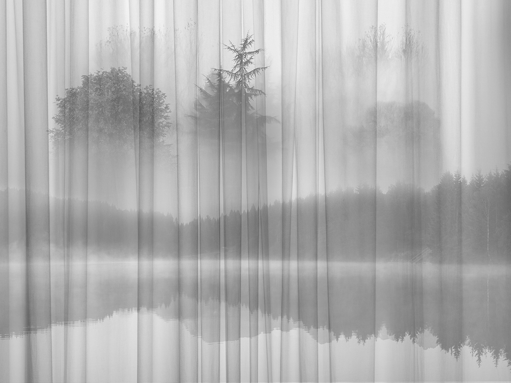 Коллекция FORESTA