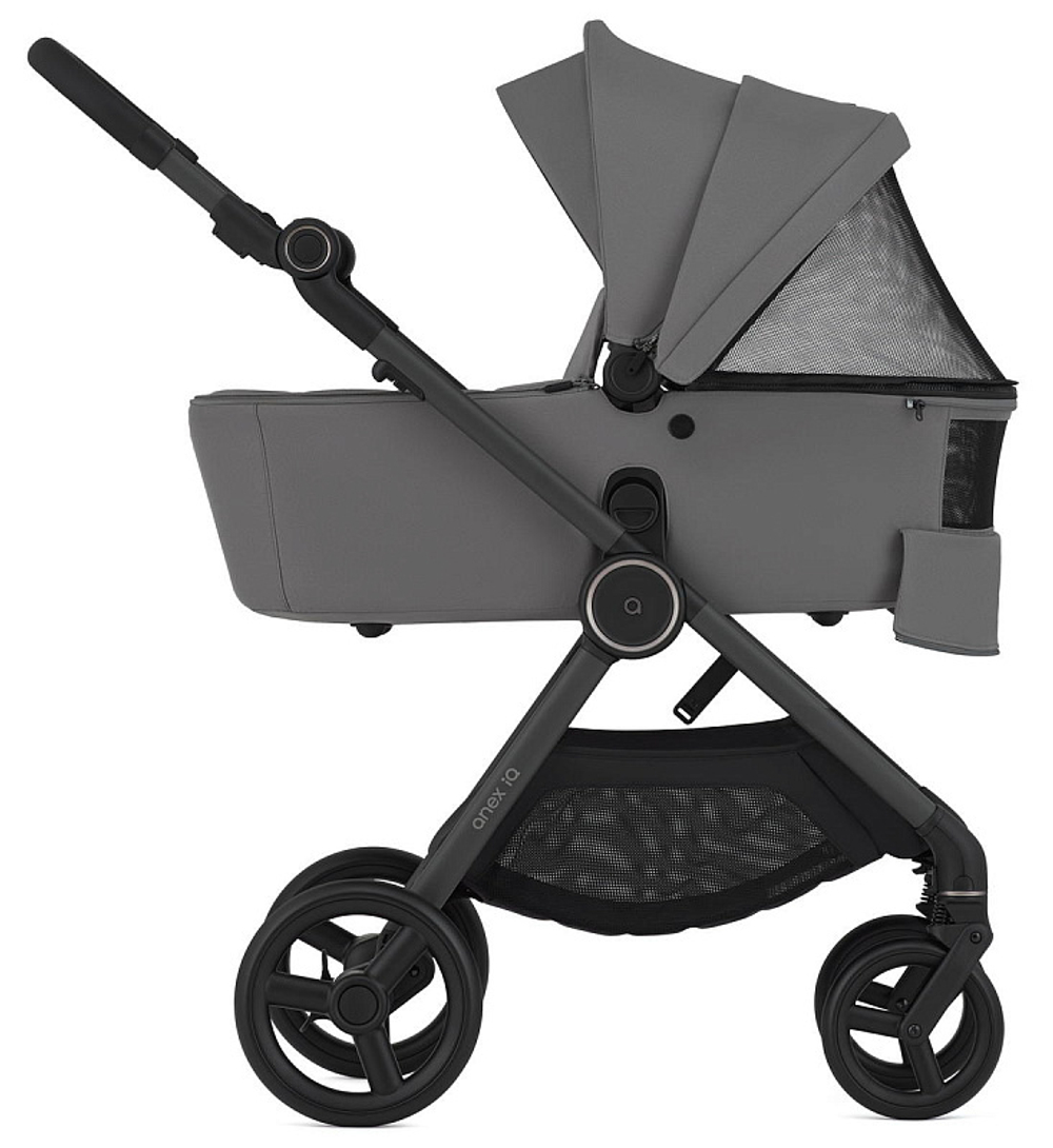 Детская коляска Anex iQ Basic NT 2 в 1 Lune