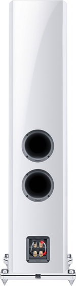 Magnat Signature 909