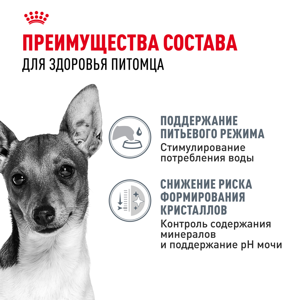 Royal Сanin Mini Urinary Care Мини Уринари Кэа Корм сухой диета для собак мелких размеров с чувствительной мочевыделительной системой 1кг