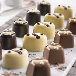 Форма для льда и шоколада Westmark Silicone красная Германия вид