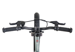 Maxiscoo SHARK Sport 16'' (2025)