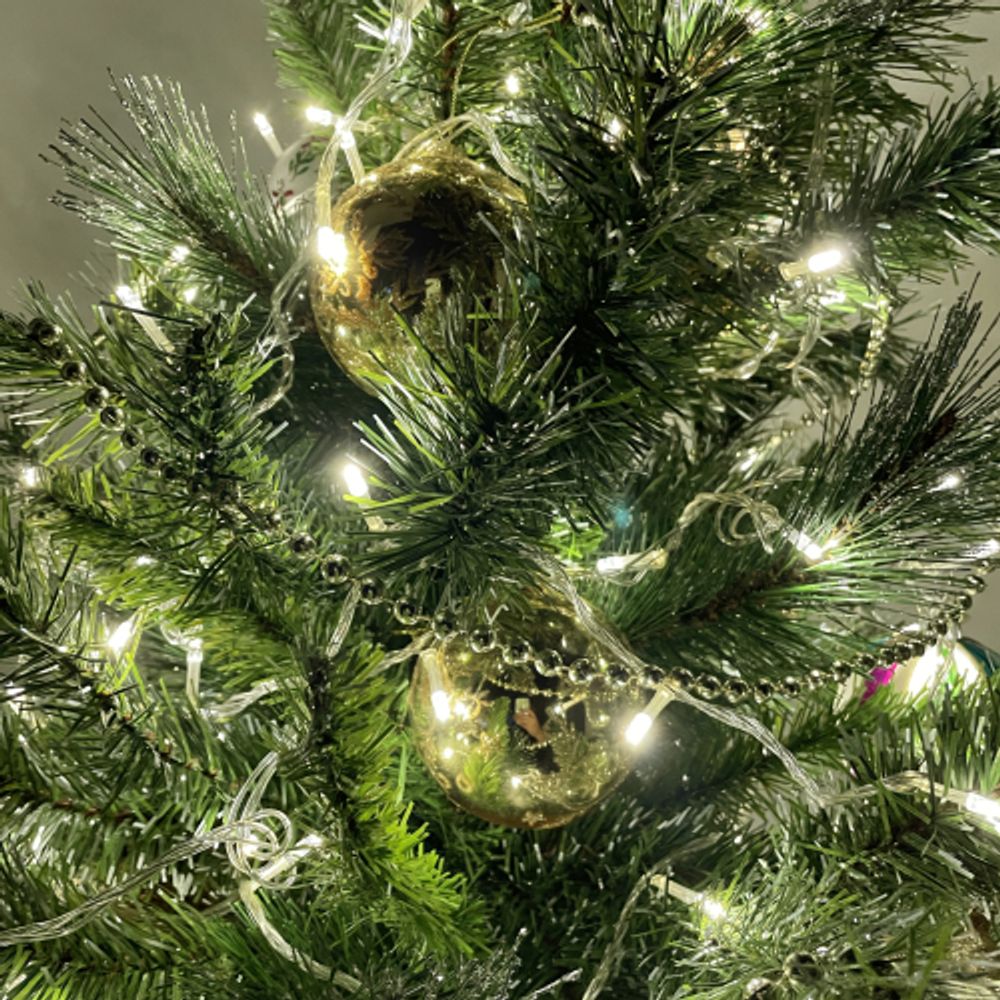 ENON-5B ЭРА Гирлянда LED Нить 5 м теплый свет, 24V, IP44