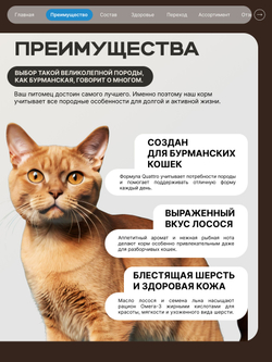 Корм сухой для взрослых кошек породы Бурманская, с лососем, 2 кг, QUATTRO