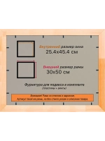 Рамка для постера и фотографий 25x45