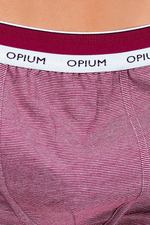 Мужские трусы R-112 Claret-White Opium