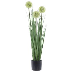 GAEM Цветочная композиция "Аллиум", L12,5 W12,5 H79 см