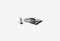 ROG STRIX Z790-A GAMING WIFI D4_0525819120351