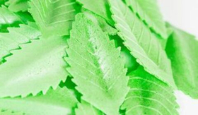 Вафельный листик - 10 шт.