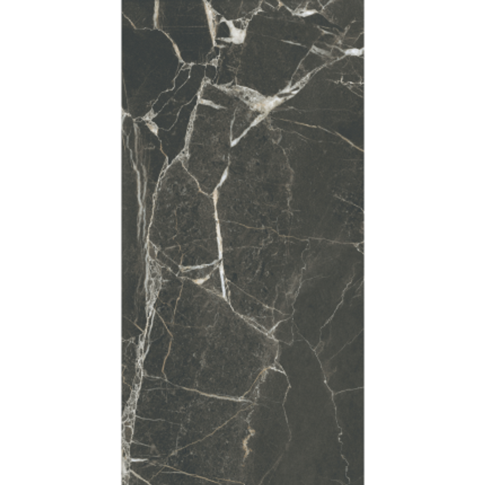 SilkMarble порто неро 600*1200 R9P керамогранит матовый