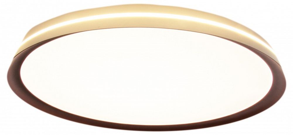 Накладной светильник Mizi`en Titan MZ31502-430