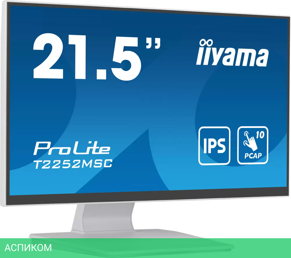 Монитор Iiyama ProLite T2252MSC-W2